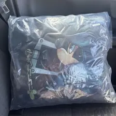 【未開封】一番くじキングダムハーツ C賞 クッション