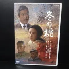 ナ1669 おこげ 清水美砂 /村田雄浩 レンタル落ち DVD 激レア商品