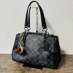 COACH コーチ ラグジュアリー シグネチャー クリスティー キャリーオール