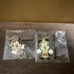 ディズニーランド チャーム2個セット