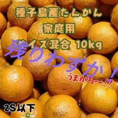 種子島産たんかん混合(2S以下)★家庭用10kg