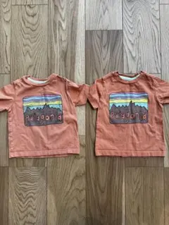 【双子】パタゴニア　キッズ　半袖Tシャツ　2枚セット