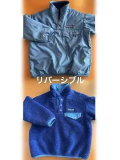 リバーシブル　アウター　パタゴニア　patagonia フリースジャケット 青