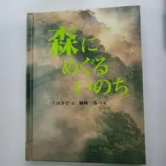 2026年最新】片山令子の人気アイテム - メルカリ