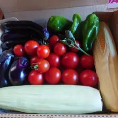 野菜の詰め合わせのサムネイル