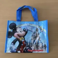 東京ディズニーランド・シー 手提げ
