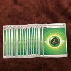 基本草エネルギー　20枚セット