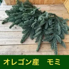 coga様 リクエスト 2点 まとめ商品