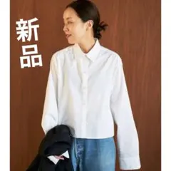 Item thumbnail for item 816ea527-3ff4-48a1-aea4-86ecbbafcf43