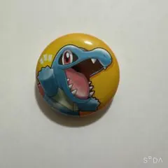 2025年最新】with you 缶バッジ ポケモンの人気アイテム - メルカリ