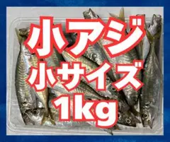 すぱとぅら様 リクエスト 2点 まとめ商品