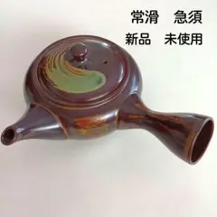2026年最新】未使用 急須の人気アイテム - メルカリ