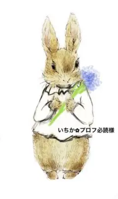 いちか‪✿‬プロフ必読様