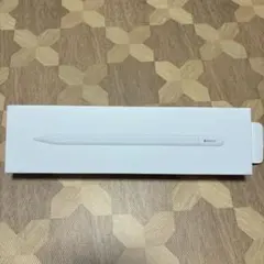 Apple Pencil (USB-C)