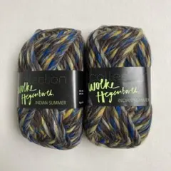 毛糸2玉セット　帽子のレシピ付き KFS opal