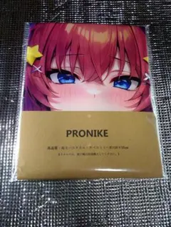 PRONIKE バスタオル地タペストリー 034-5 中野五月