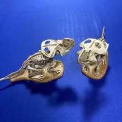 海洋堂　恐竜骨格模型 2体セット