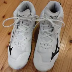 MIZUNO　バレーボールシューズ　28.0cm