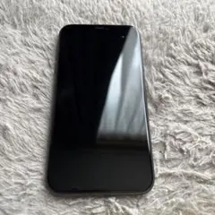 Apple iPhone 11 本体