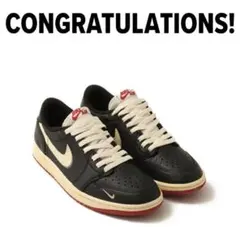 Nigel Sylvester×Nike 