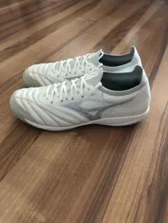 Mizuno モレリアネオサラβジャパンTF