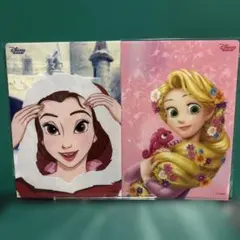 〘 B5サイズ〙ディズニークリアファイル 2枚セットのサムネイル