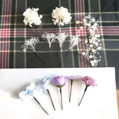 Item thumbnail for item bb473e23-a276-4a0e-89e7-15071813281f