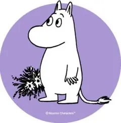 【フミ様専用】