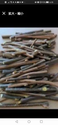 無農薬キウイのかじり木 25cm 1〜2cm かじり木 中枝　ネコポス箱