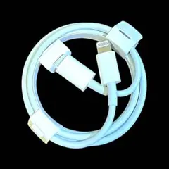 Apple 正規品iphone ライトニングケーブル 充電器 急速 純正品