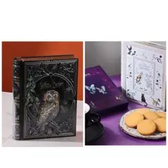 【完売品】KALDI カルディ 魔法辞書 2025 2缶セット　缶のみ