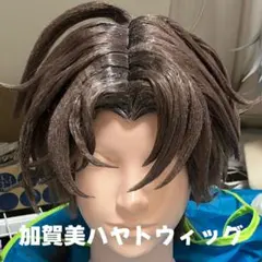 加賀美ハヤト ウィッグ 2種まとめ売り - メルカリ