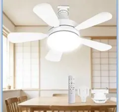 Item thumbnail for item e446985b-8ce6-438b-a305-1e19a4cc6280