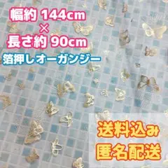 金色 箔押し 蝶模様 黒色✕ゴールド オーガンジー生地 ハギレ