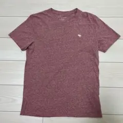 Abercrombie & Fitch Mサイズ Tシャツ バーガンディ