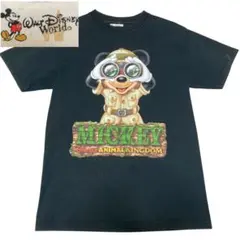 Item thumbnail for item fd797619-88ed-43c2-9d28-4eccf1ba86c5