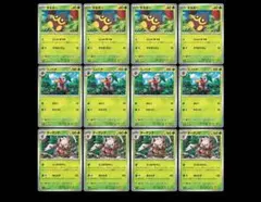 ポケモンカード タネボー コノハナ ダーテング 進化ラインセット