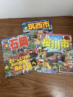 Item thumbnail for item 5ec93016-f967-472e-b935-f6bf7215797f