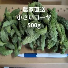 小さいゴーヤ　ネコポス　箱込み約500gのサムネイル