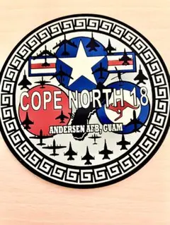 空自　米軍　演習　記念　レア　ワッペン　パッチ　ベルクロ付き