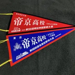 帝京高校ペナントセットのサムネイル