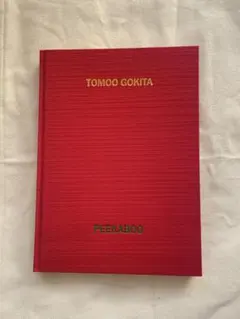 Item thumbnail for item d321eccd-3300-45a5-8df9-420e4bee6f6d