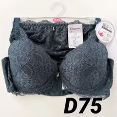 エレガンテ　ブラジャー　ショーツセット　D75 レース　サイドストリングショーツのサムネイル