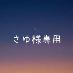 さゆ様 リクエスト 2点 まとめ商品