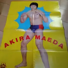 船木誠勝 ポスター - メルカリ