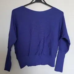 RIVE DROITE 青 ニットセーター サイズF