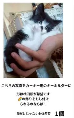 たなかねこ様 確認用 - メルカリ