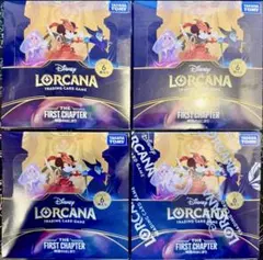 ゆ*き様 ディズニー ロルカナ THE FIRST CHAPTER 物語のはじま
