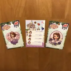 Disneyちいさなプリンセスソフィア ワッペン＆ネームラベル 3点セット 新品