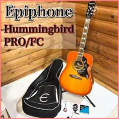 2025年最新】エピフォンハミングバードの人気アイテム - メルカリ